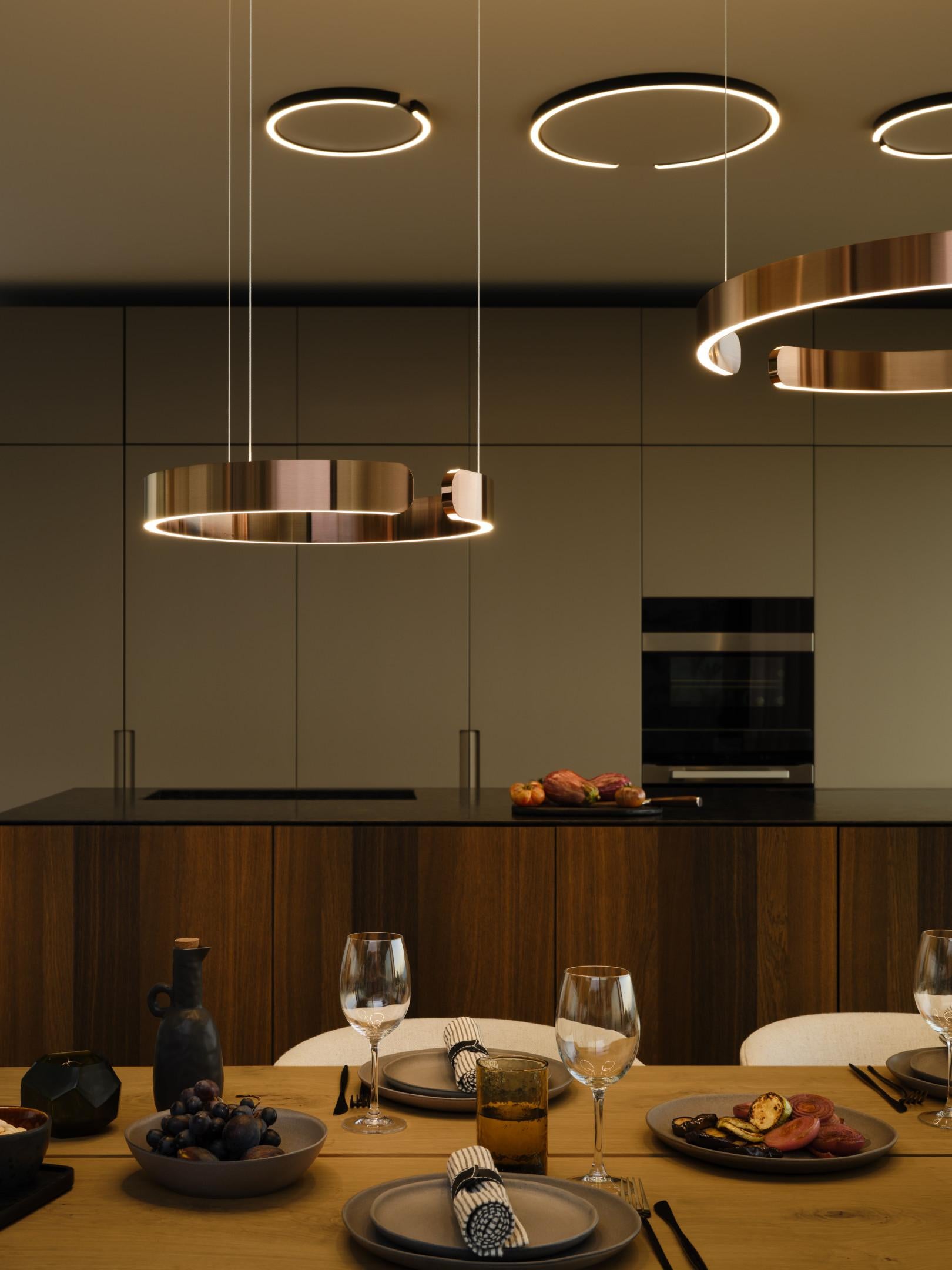 Mito Sospeso Ring Shape Pendant Light